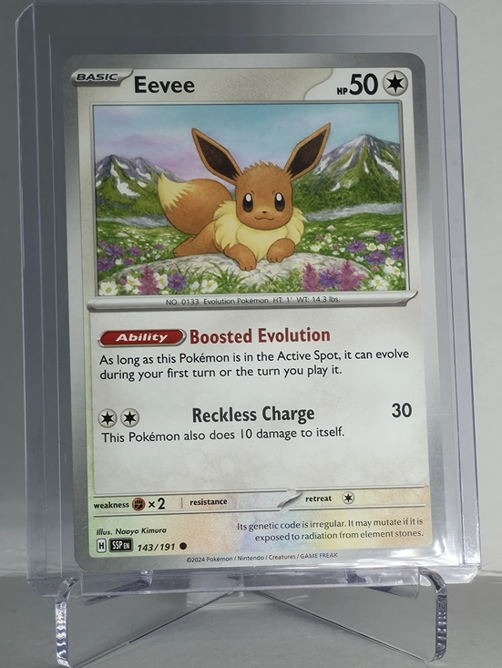 Pokemon Other - Pokémon TCG - Eevee - Surging Sparks - 143/191